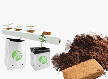 Grow Your Plants with Cocopeat Bags