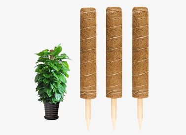 Coir Plant Support Pole
