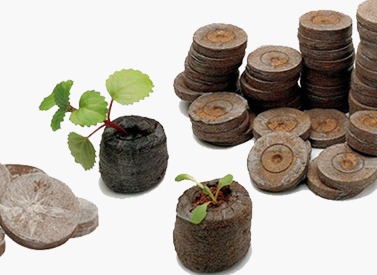 Cocopeat Coins3