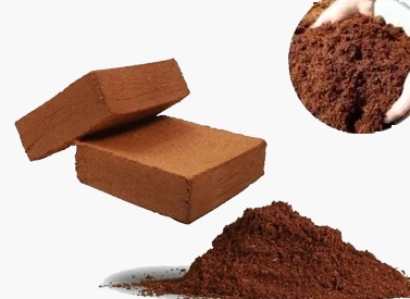 Coco Peat 650 grams Block2